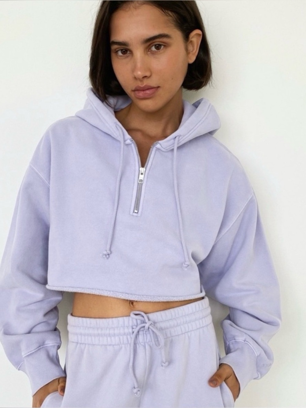 NWOT Aritzia TNA Cozy Fleece Boyfriend Cropped 1/4 Zip Hoodie Size 2